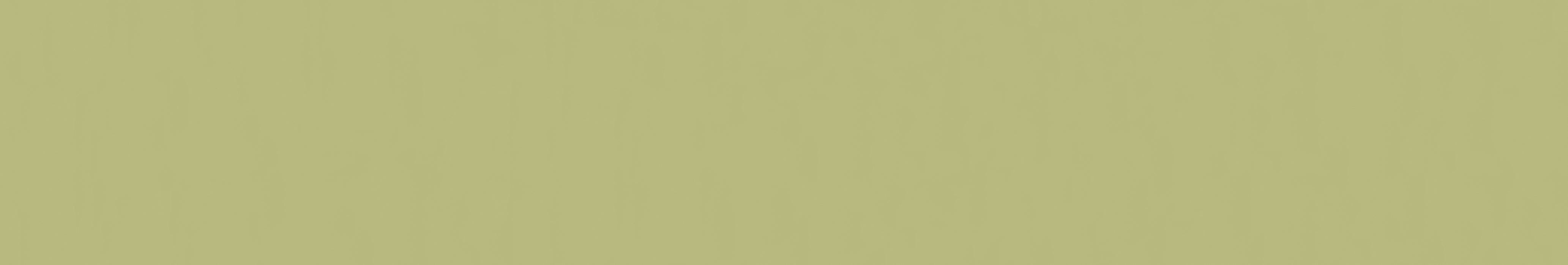 EXPANSE™ SOLID COLORS - E™ BY EMSER TILE