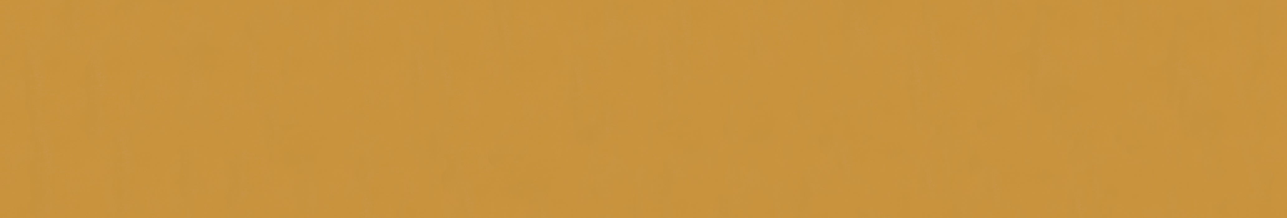 EXPANSE™ SOLID COLORS - E™ BY EMSER TILE