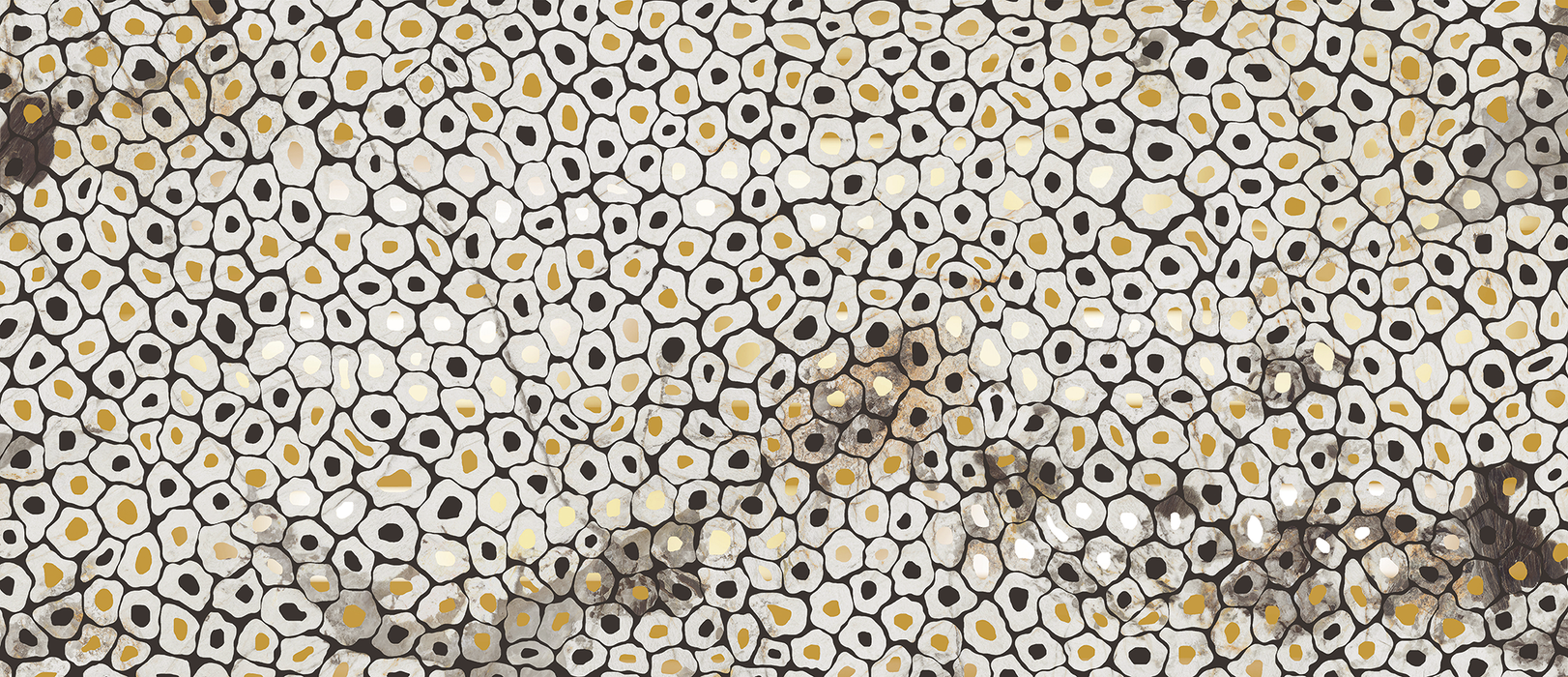 ZAMBIA™ - E™ BY EMSER TILE